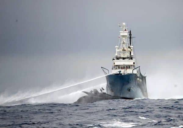 Sea Shepherd Ship vs ship