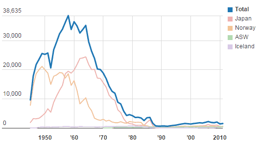 Number of whales killed each year